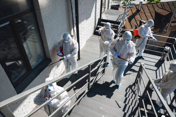 Best Crawl Space Mold Remediation  in Woodstown, NJ