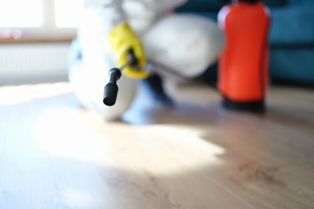 Best Forensic Mold Investigation  in Woodstown, NJ