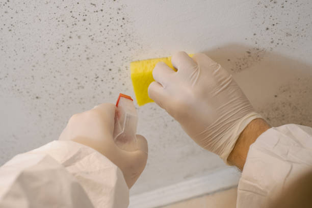 Best Dehumidification Services  in Woodstown, NJ