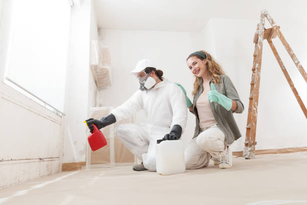 Best Mold-Related Health Consultation  in Woodstown, NJ
